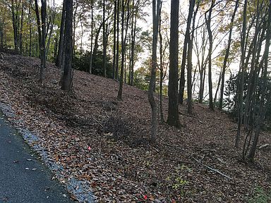 4166&4172 Chilhowee Tr, Maryville, TN 37803 - Photo 8