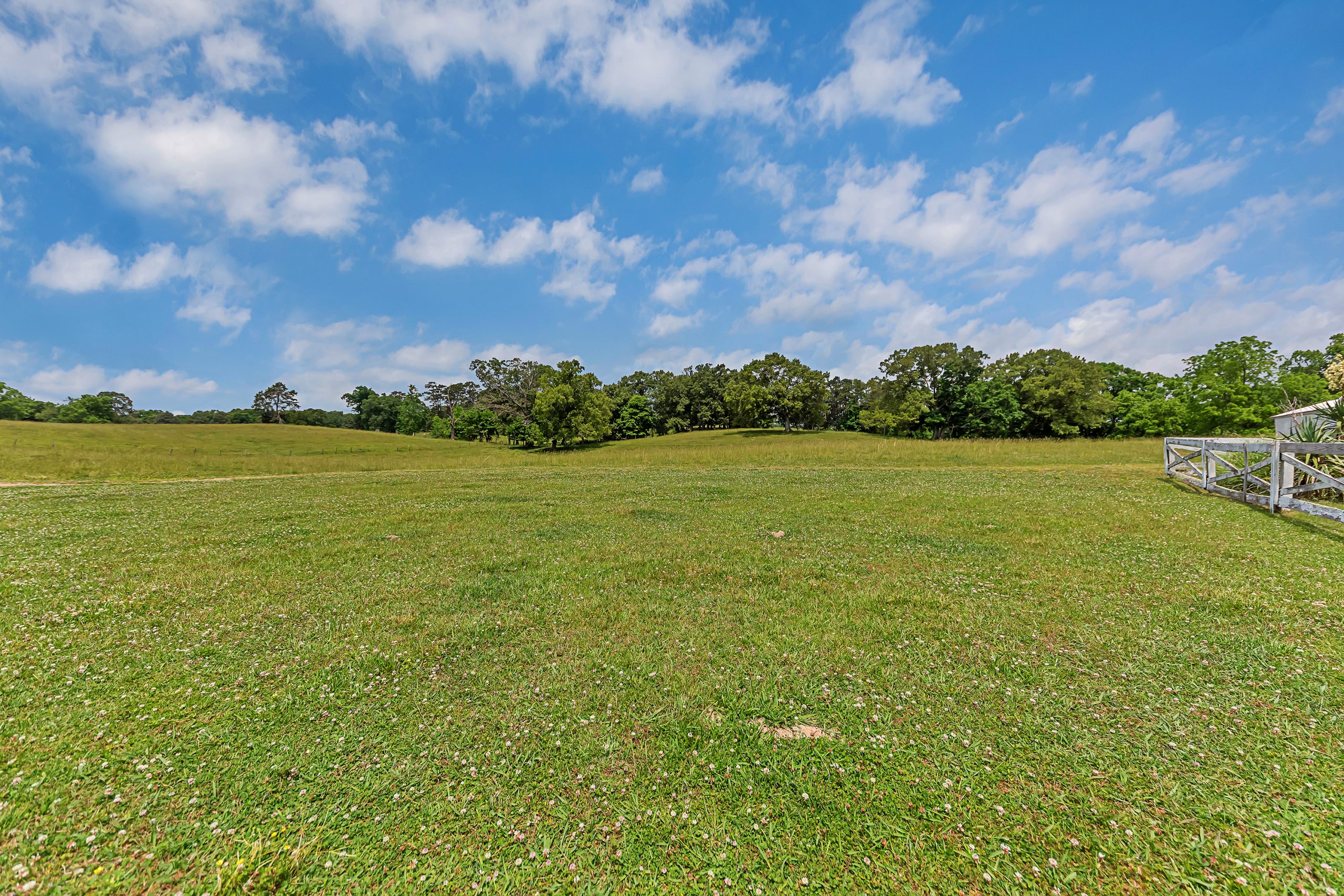 5115 Burkhart Road - Photo 15