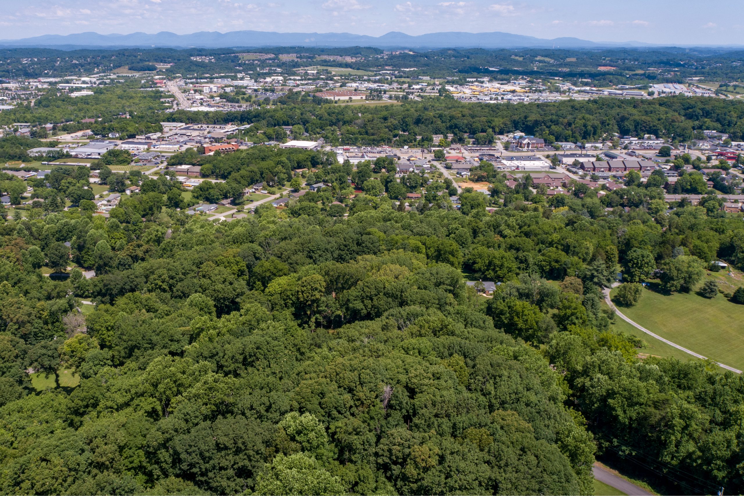 Lot 10R S David Lane Knoxville, TN 37922 - Photo 6