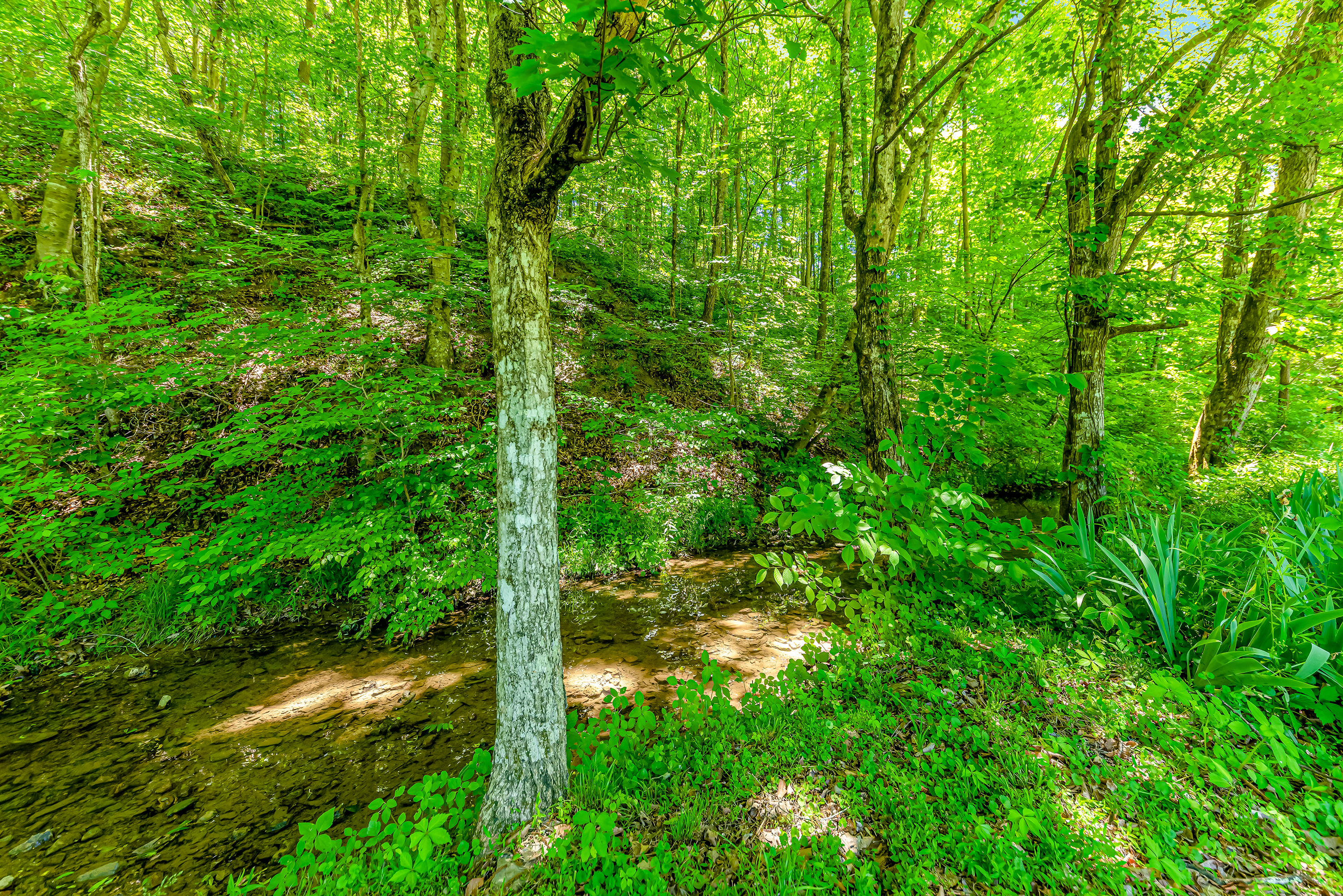 9012 Brock Rd - Photo 34