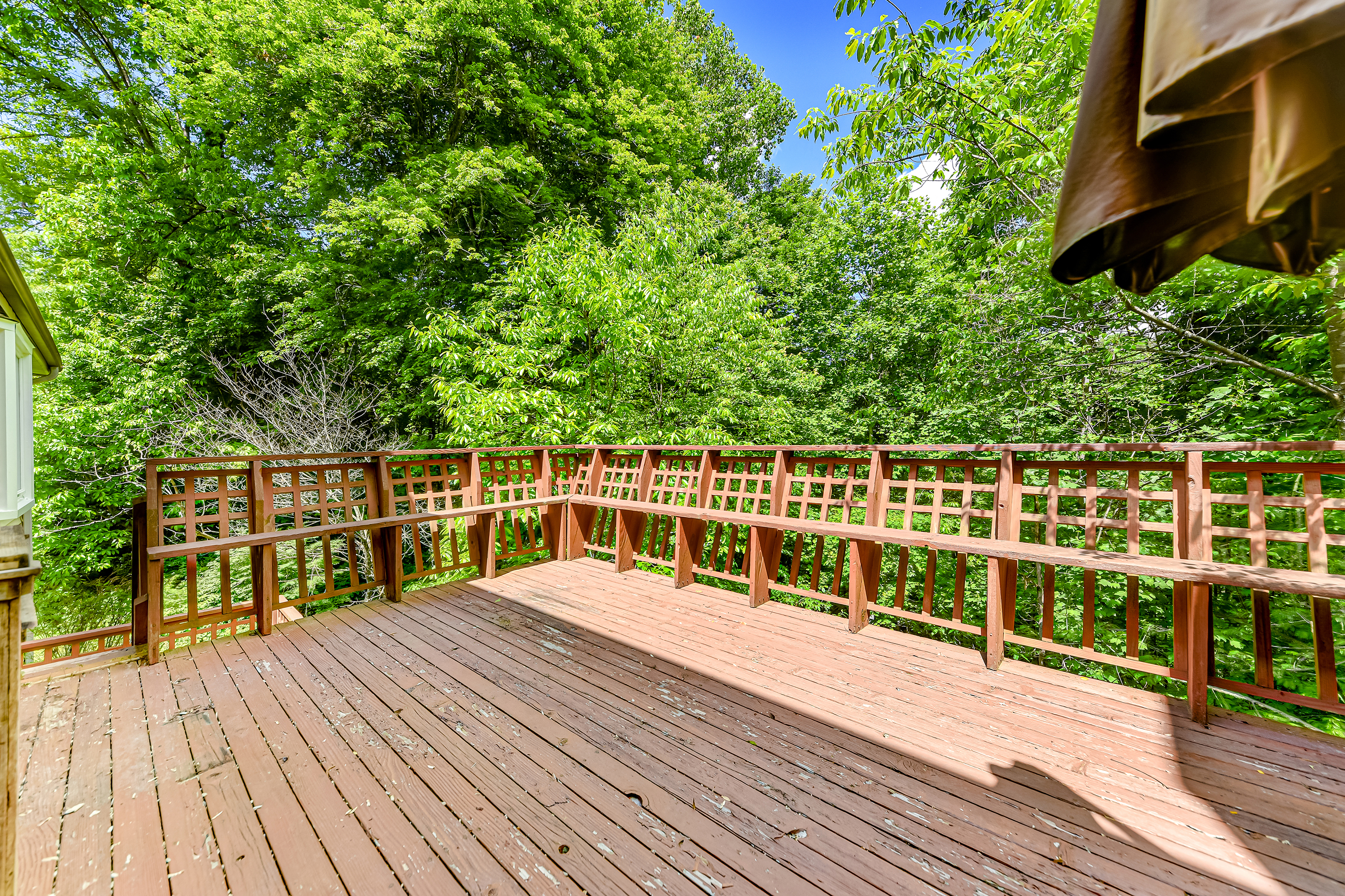 113 Greenbriar Lane Oak Ridge, TN 37830 - Photo 27