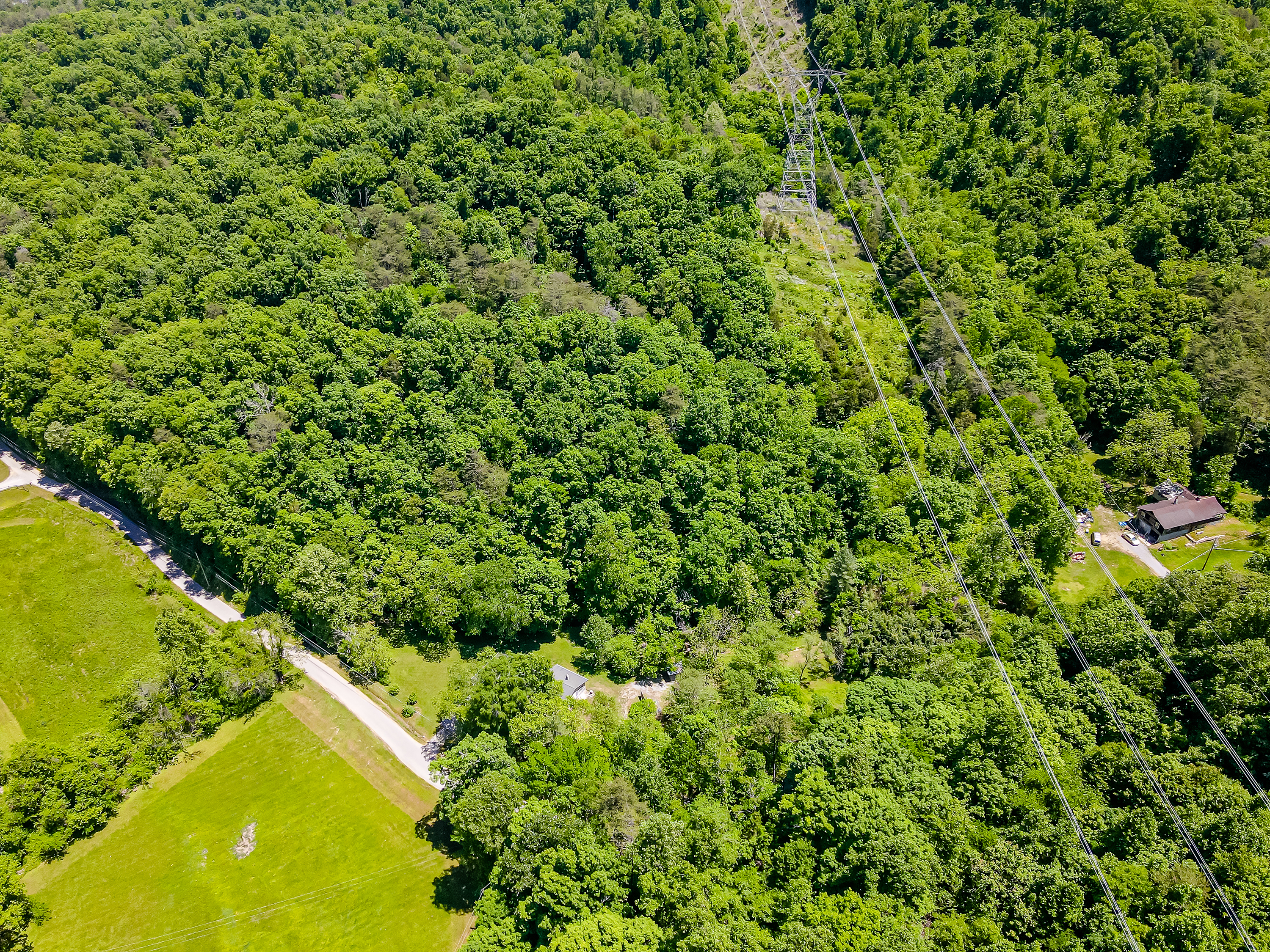 9012 Brock Rd - Photo 41
