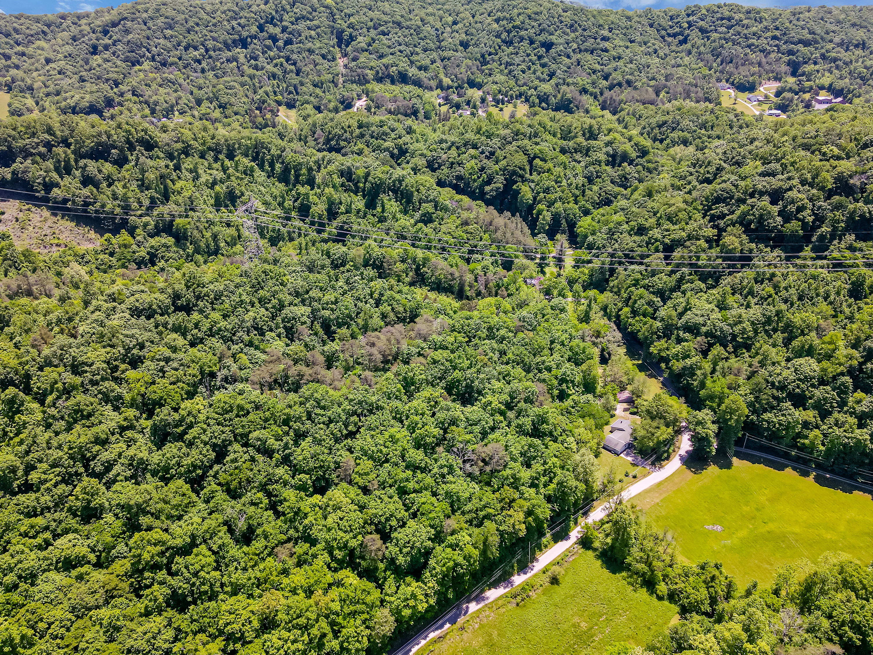 9012 Brock Rd - Photo 46
