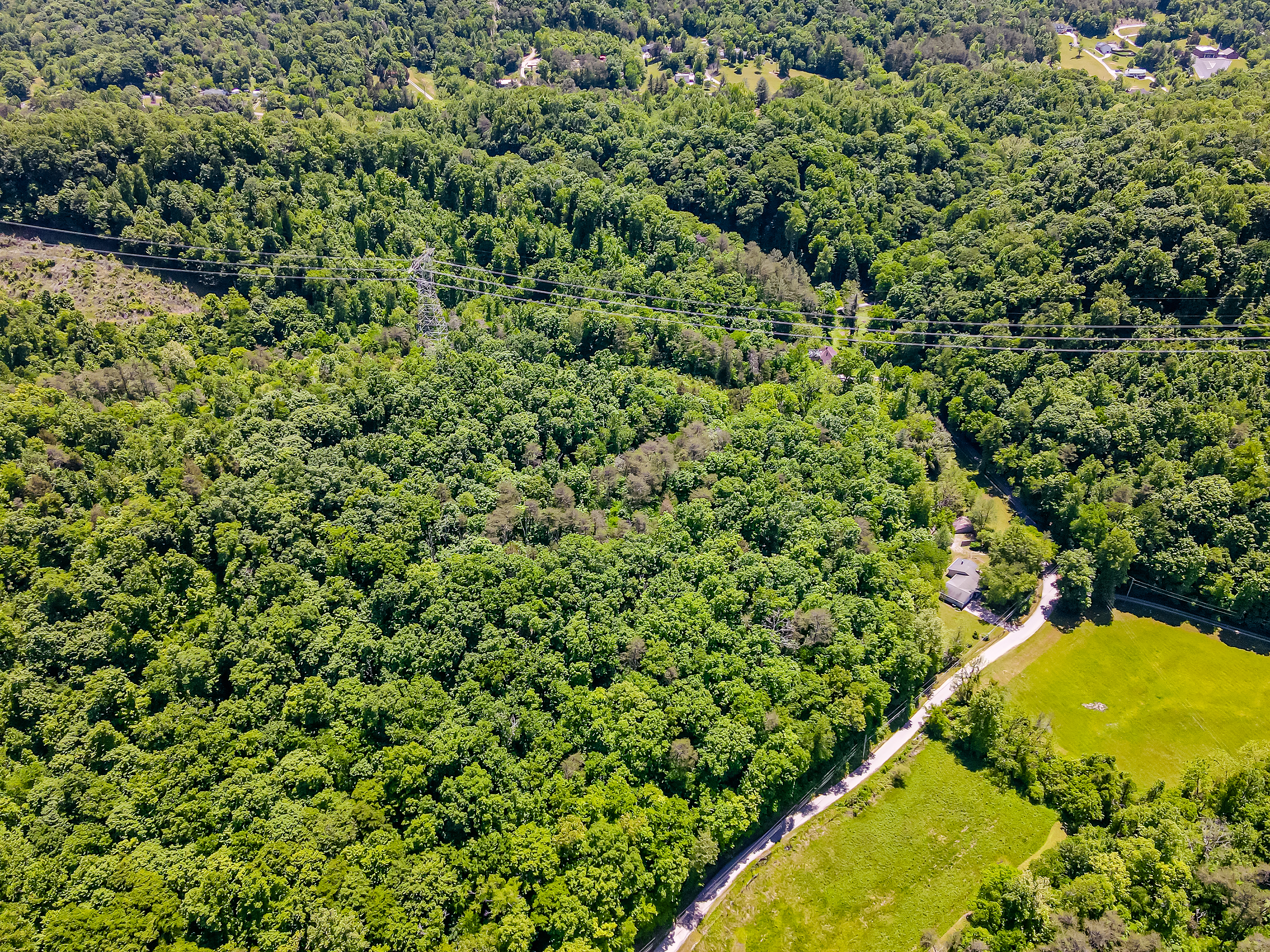 9012 Brock Rd - Photo 47
