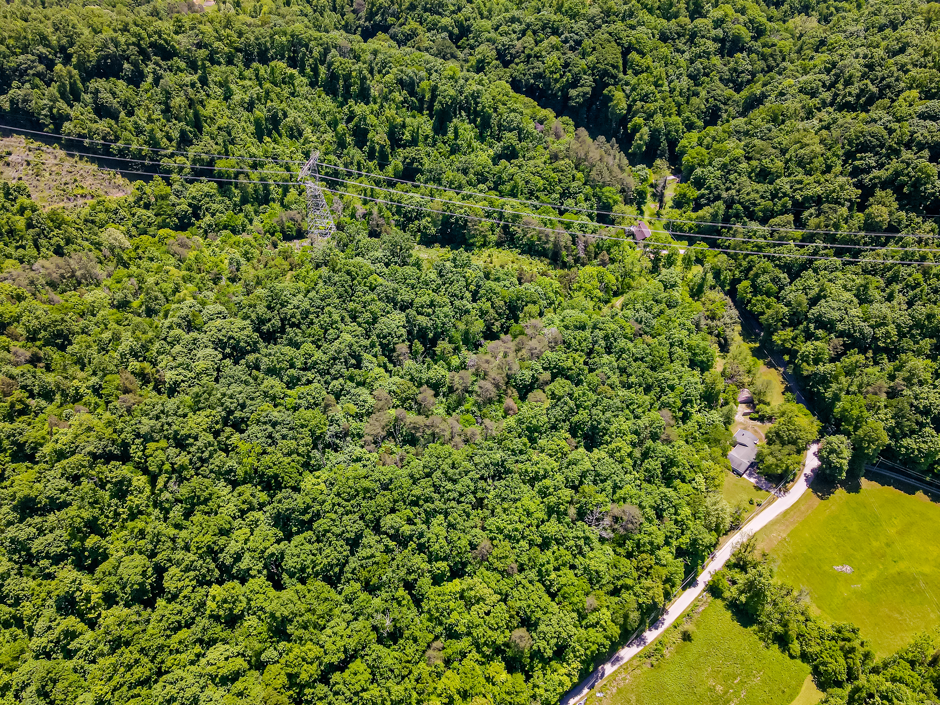 9012 Brock Rd - Photo 48
