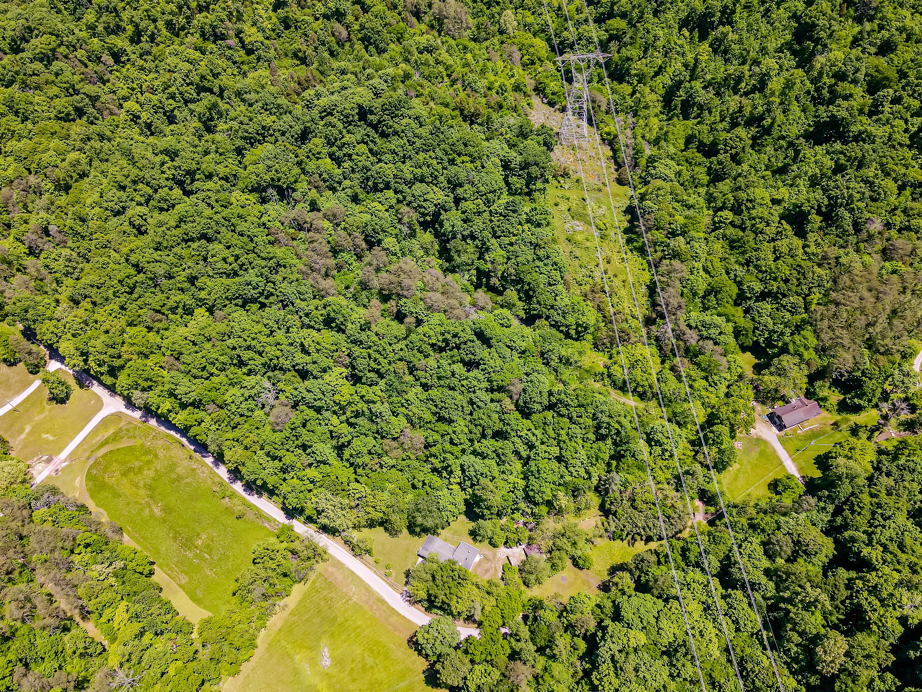 9012 Brock Rd - Photo 49