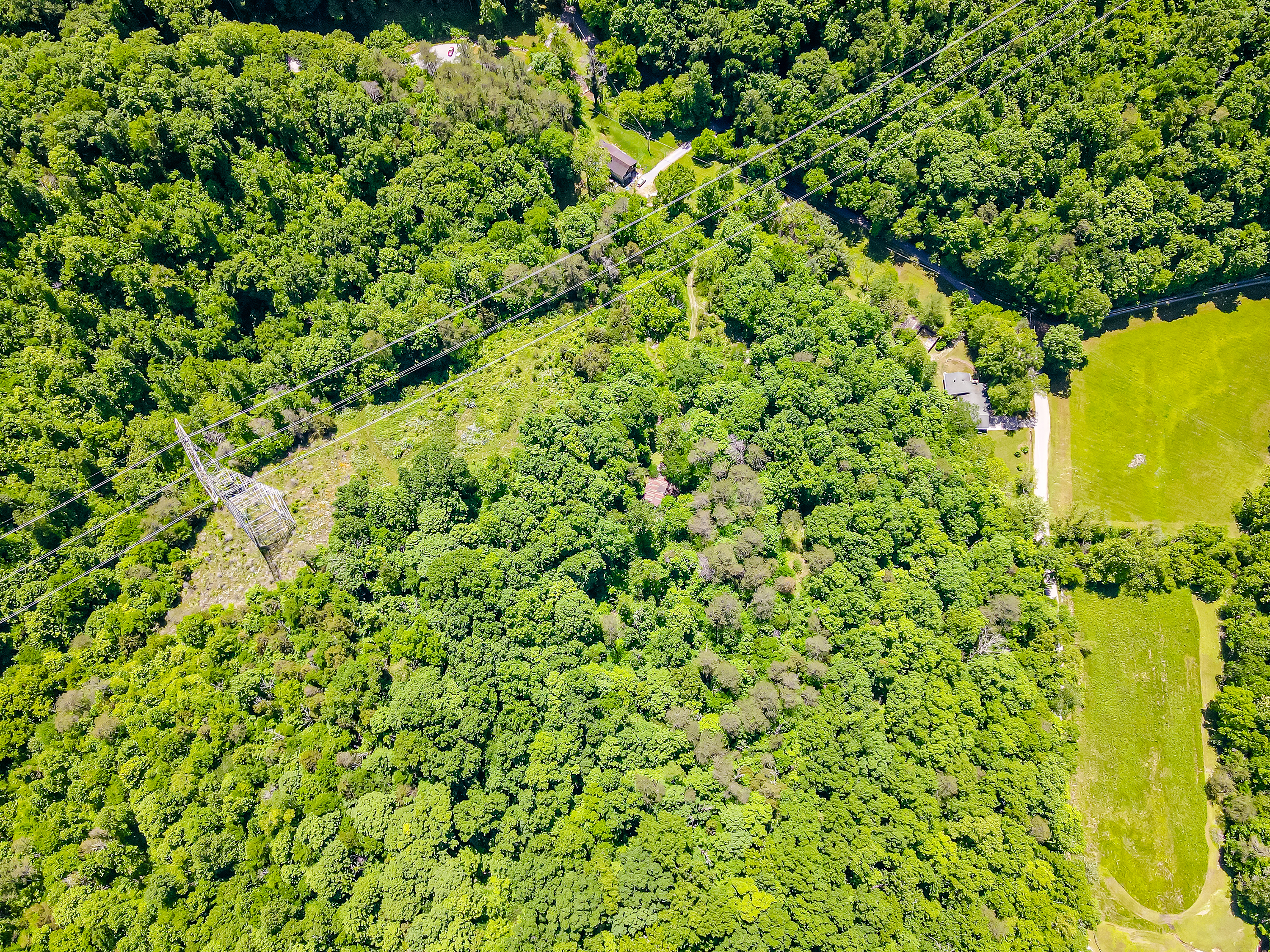 9012 Brock Rd - Photo 51