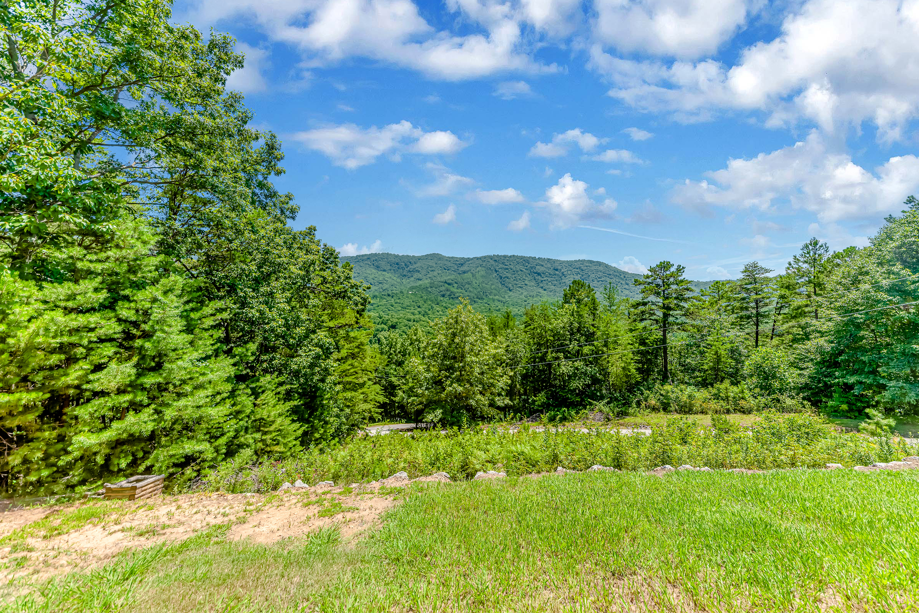 2941 Allegheny Loop Rd - Photo 11