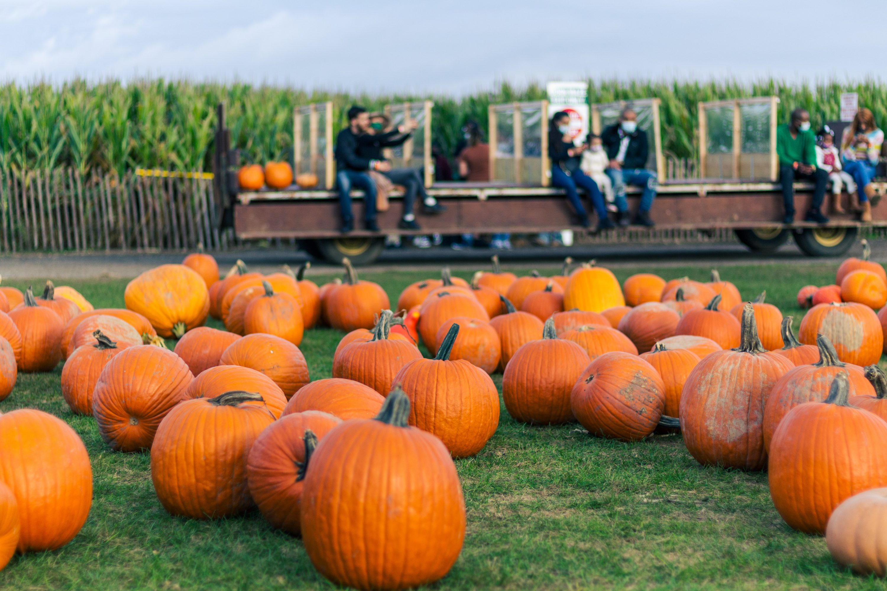 How to Make the Most of Your 1st Fall Season in East Tennessee