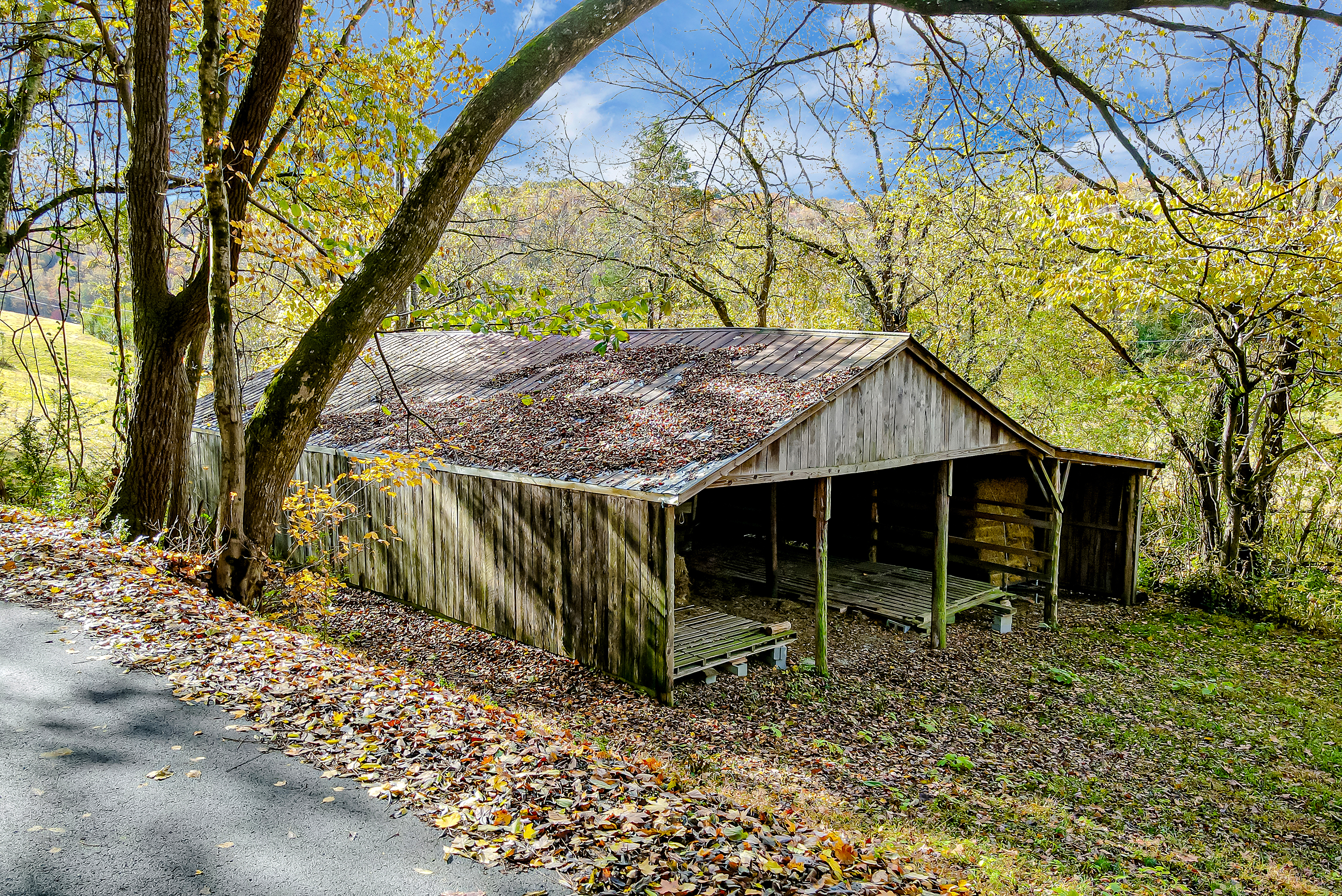 190 Miller Hollow Ln, Rocky Top, TN 37769 - Photo 15