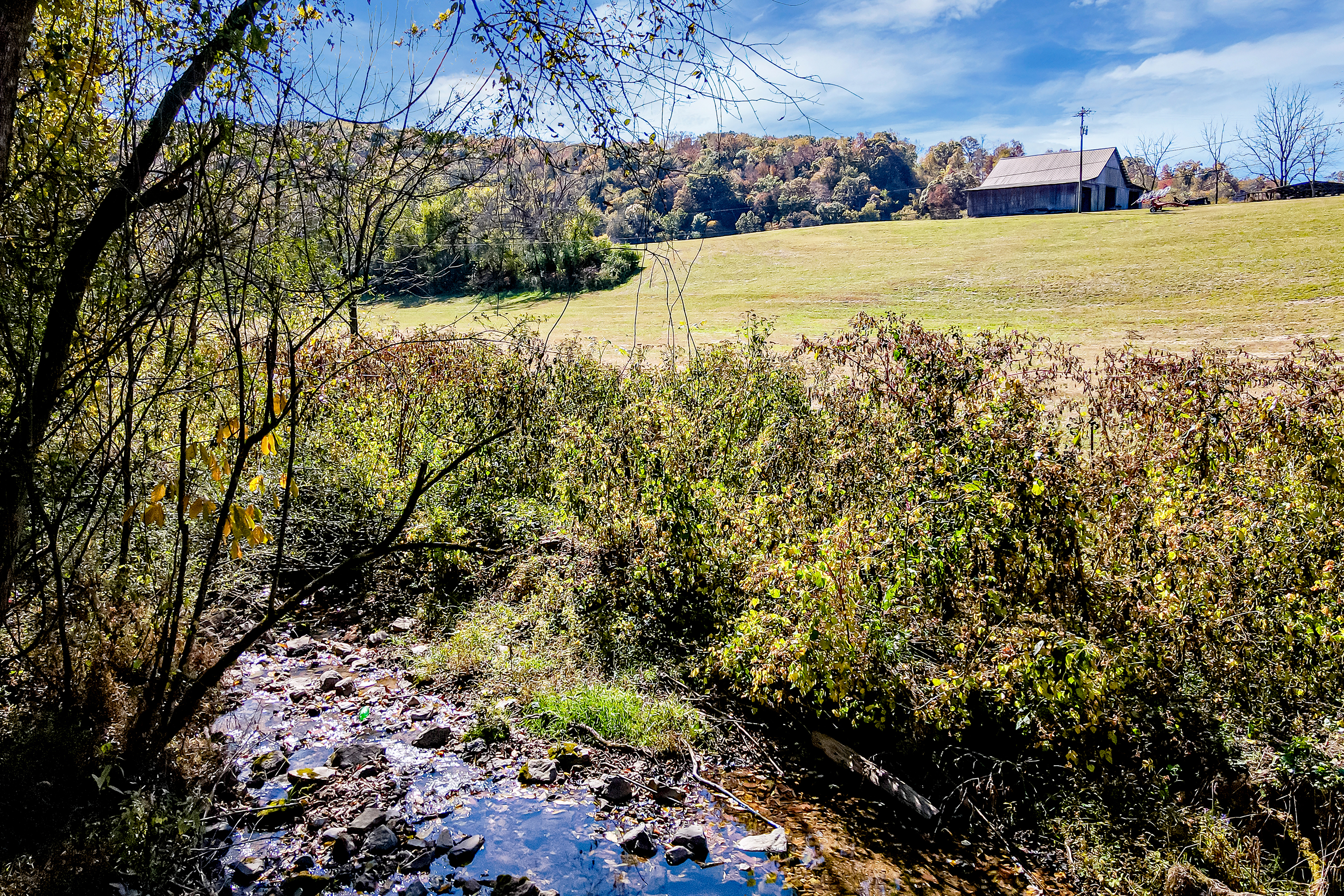 Miller Hollow Lane Rocky Top, TN 37769 - Photo 12