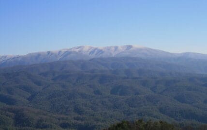 Tract 29R5 Chilhowee Mountain Tr Maryville, TN 37803 - Photo 7