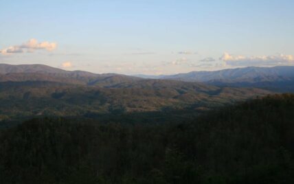 Tract 29R5 Chilhowee Mountain Tr Maryville, TN 37803 - Photo 15