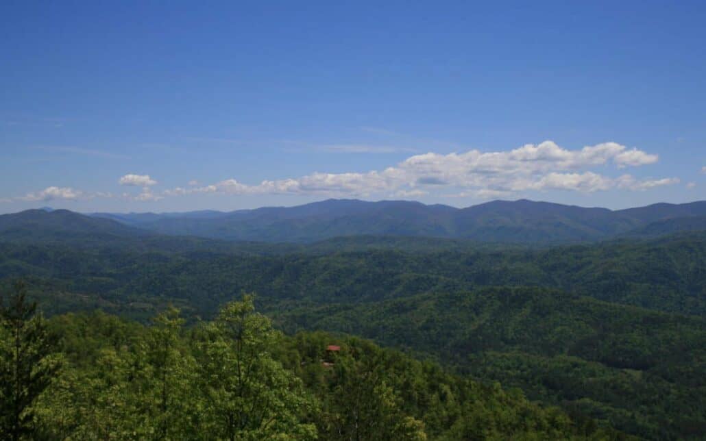 Tract 29R4 Chilhowee Mountain Tr Maryville, TN 37803 - Photo 16