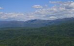 Tract 29R4 Chilhowee Mountain Tr Maryville, TN 37803 - Photo 22