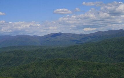 Tract 29R5 Chilhowee Mountain Tr Maryville, TN 37803 - Photo 25