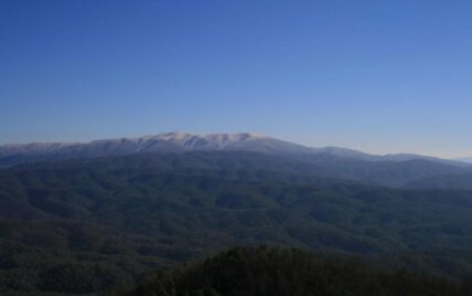 Tract 29R5 Chilhowee Mountain Tr Maryville, TN 37803 - Photo 9