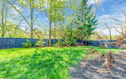 8620 Barbee Lane Knoxville, TN 37923 - Photo 8