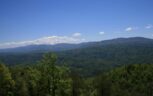 Tract 29R3 Chilhowee Mountain Trl, Maryville, TN 37803 - Photo 22
