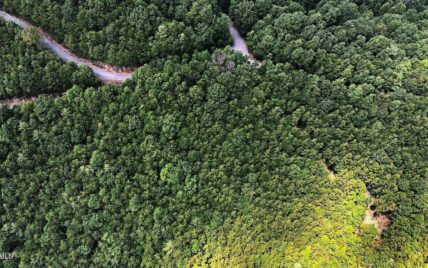 TRACT 25 Chilhowee Mountain Trl, Maryville, TN 37803 - Photo 3
