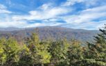 Tract 29R3 Chilhowee Mountain Trl, Maryville, TN 37803 - Photo 3