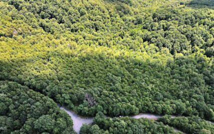TRACT 25 Chilhowee Mountain Trl, Maryville, TN 37803 - Photo 4
