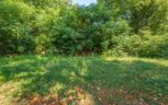 1231 Baker Ave, Knoxville, TN 37920 - Photo 4