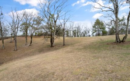 1165 Chula Vista Drive Friendsville, TN 37737 – land - Photo 41