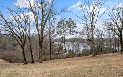 1165 Chula Vista Drive Friendsville, TN 37737 – land - Photo 42