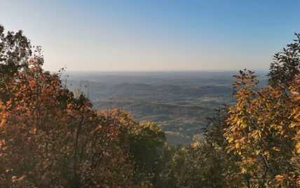 Tract 1 Chilhowee Tr - Photo 1