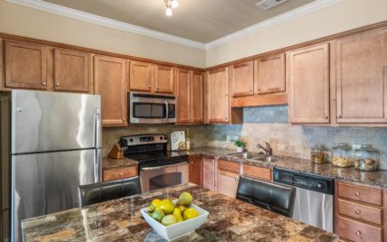 445 W Blount Ave, 405 Knoxville, TN 37920 - Photo 8