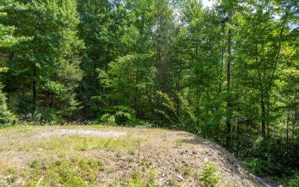112 Buffalo Springs Way, Townsend, TN 37882 - Photo 13