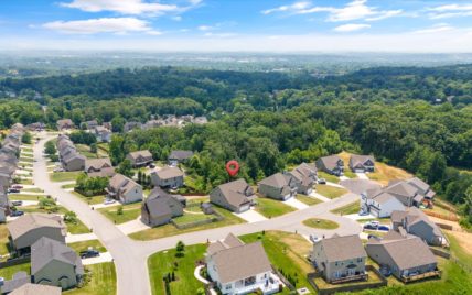 7710 Willow Branch Lane Knoxville, TN 37931 - Photo 45