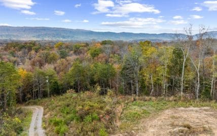 703 N Knob Creek Rd Fall - Photo 13