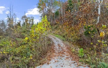 703 N Knob Creek Rd Fall - Photo 8