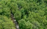 1618 Walnut Flats Road, Walland, TN 37886 - Photo 4