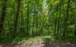 1618 Walnut Flats Road, Walland, TN 37886 - Photo 10