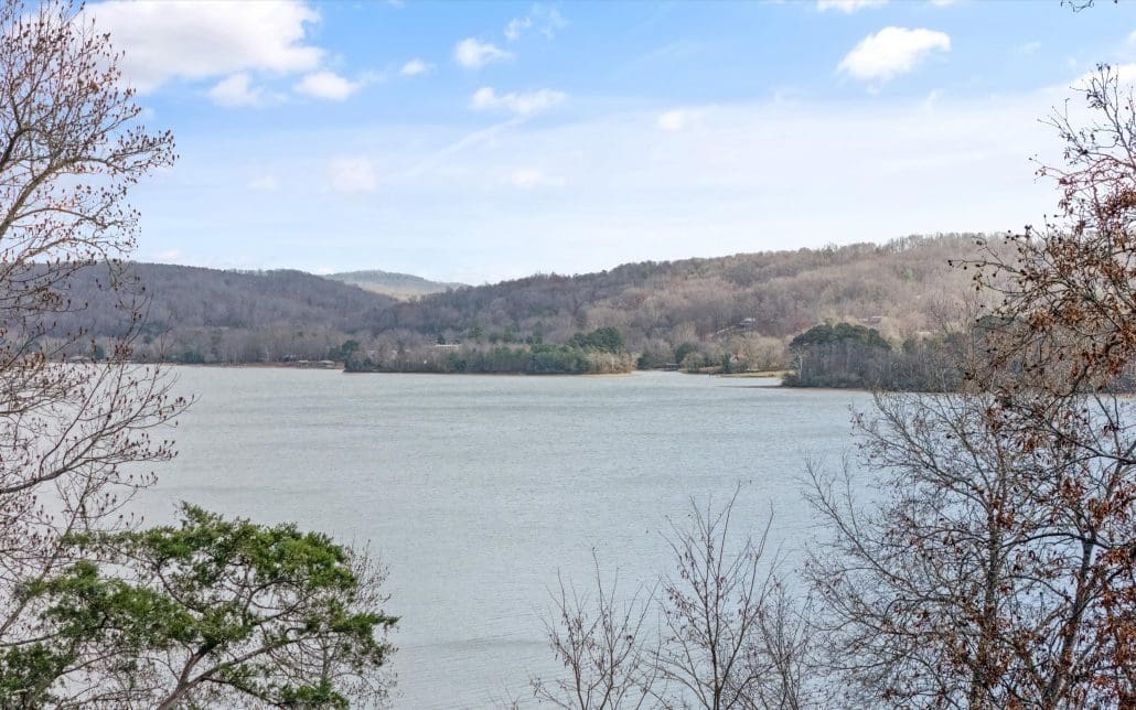 Lot 167 E Shore Drive, Rockwood, TN 37854 - Photo 10