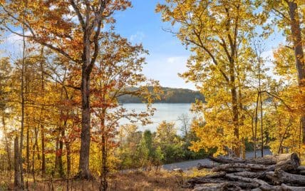 3200 Keller Bend Road, Knoxville, TN 37922 - Photo 16