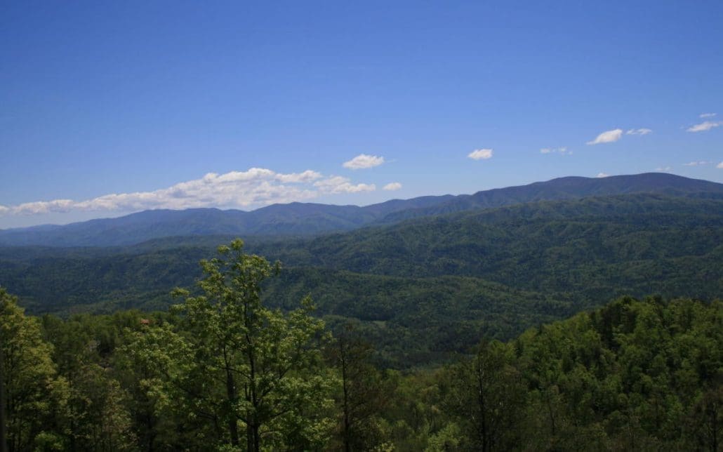 4951 Look Rock Crest Drive, Maryville, TN 37803 - Photo 26