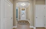259 Bittersweet Lane, Lenoir City, TN 37771 - Photo 13