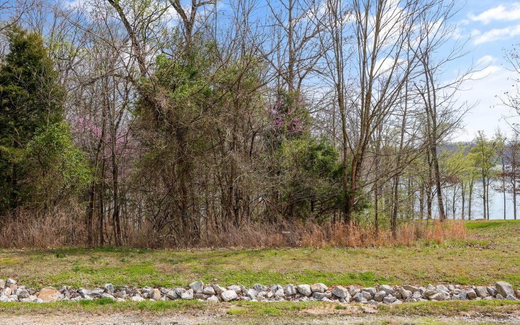 Lot 123 E Shore Drive, Rockwood, TN 37854 - Photo 9