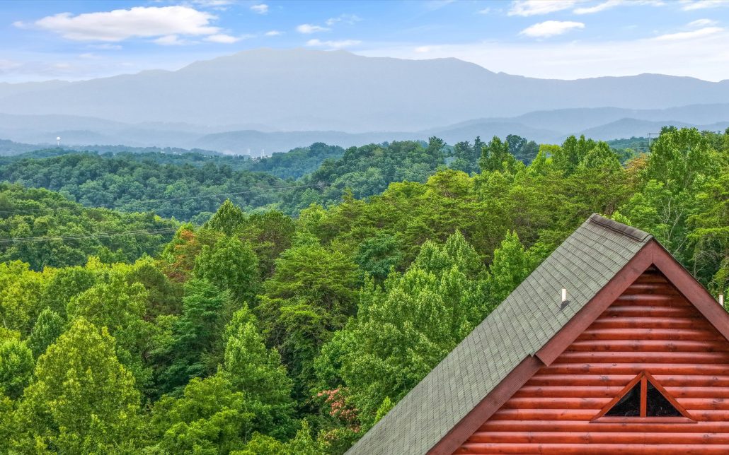 669 Stockton Drive, Sevierville, TN 37876 - Photo 9