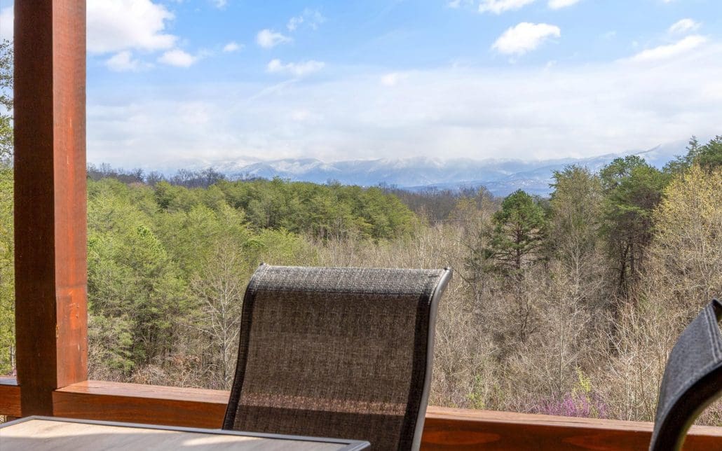 669 Stockton Drive, Sevierville, TN 37876 - Photo 19
