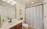 12710 Mallard Bay Drive, Knoxville, TN 37922 - Photo 47