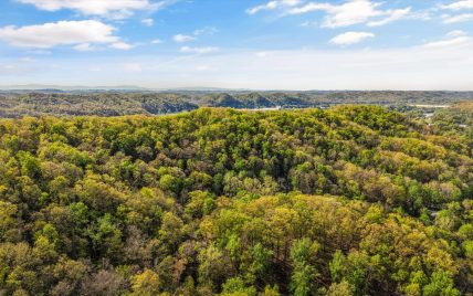 257 Lone Ridge Lane, Clinton, TN 37716 - Photo 59
