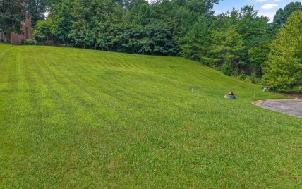 1243 Gettysvue Way, Knoxville, TN 37922 - Photo 11