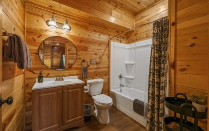 2421 Misty Shadows Drive, Sevierville, TN 37862 - Photo 54