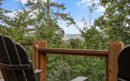 2421 Misty Shadows Drive, Sevierville, TN 37862 - Photo 10