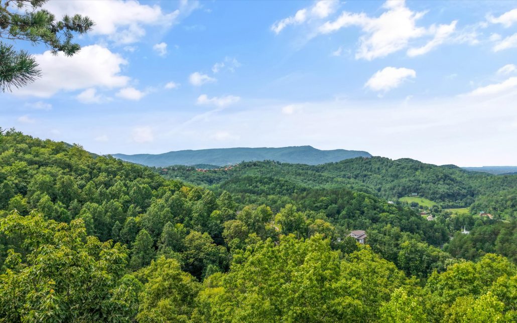 2421 Misty Shadows Drive, Sevierville, TN 37862 - Photo 56
